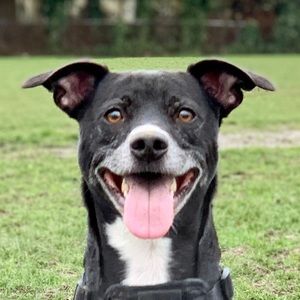 Meet your Posher, Margaret